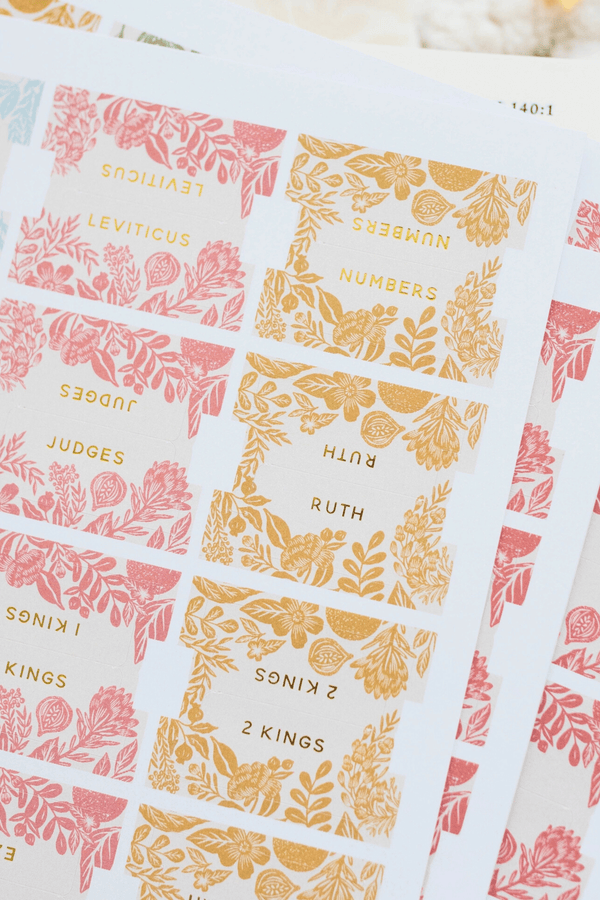 Colorful Bible Tabs GIFT Daily Grace Co 