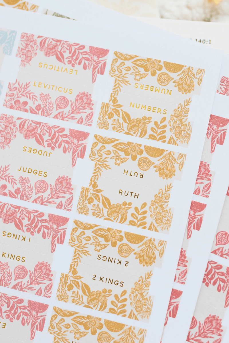 Colorful Bible Tabs GIFT Daily Grace Co 