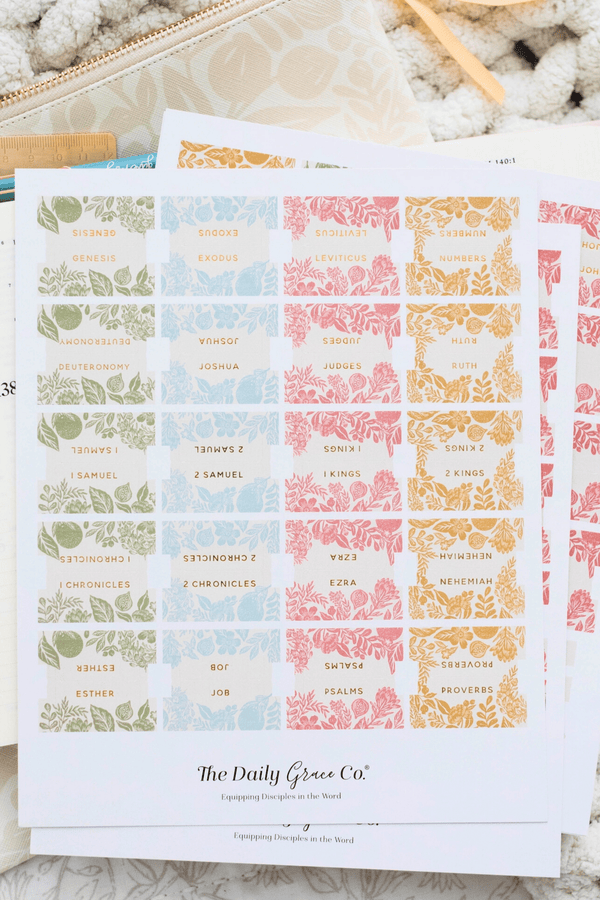 Colorful Bible Tabs GIFT Daily Grace Co 