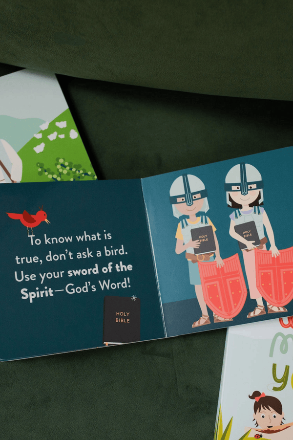 Armor of God Board Book GIFT Daily Grace Co 