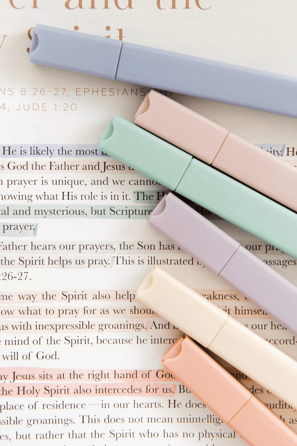 Pastel Bible Highlighters GIFT Daily Grace Co 