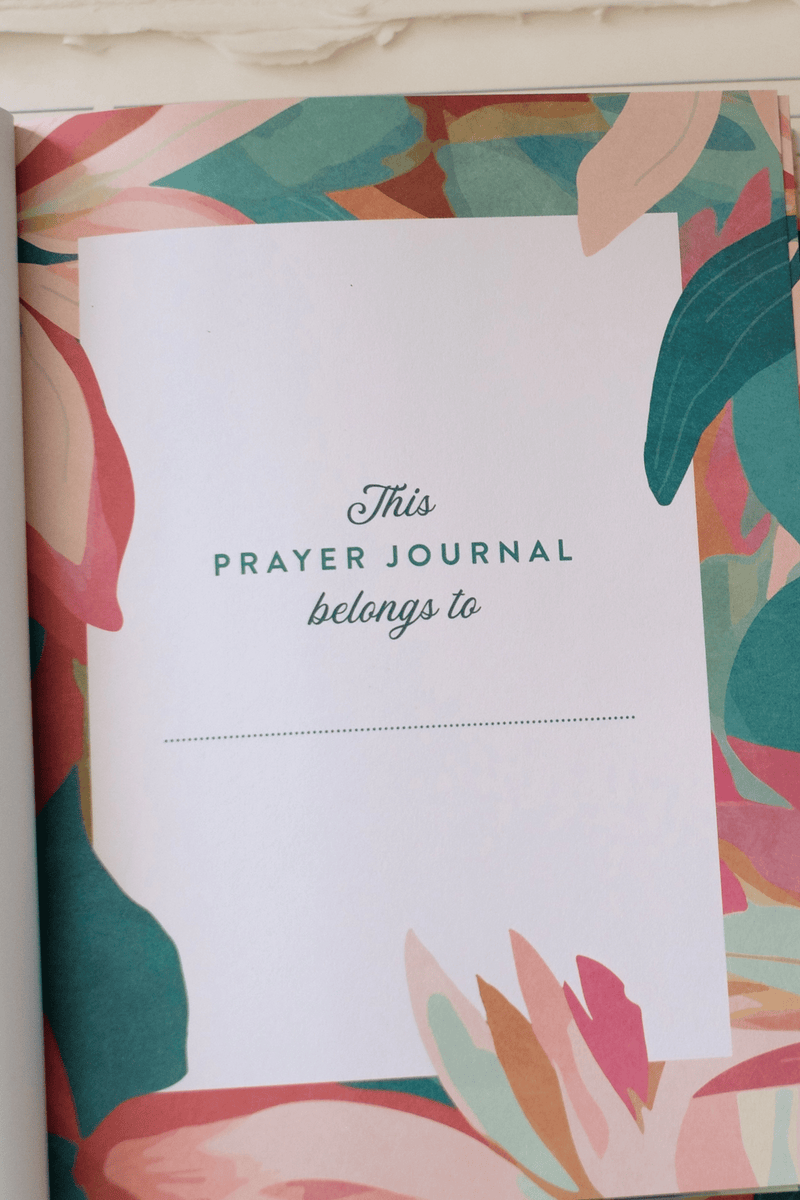 A Year of God's Goodness : A Prayer Journal GIFT Barbour Publishing 