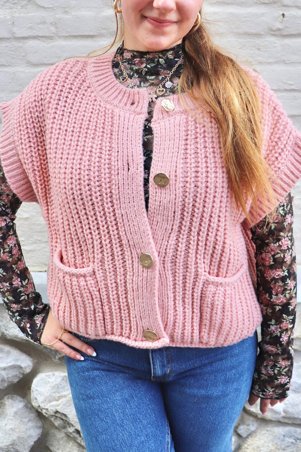 Karlie Knit Vest in Blush TOPS VeryJ 