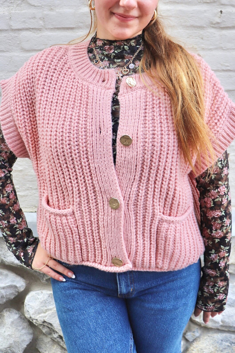 Karlie Knit Vest in Blush TOPS VeryJ 