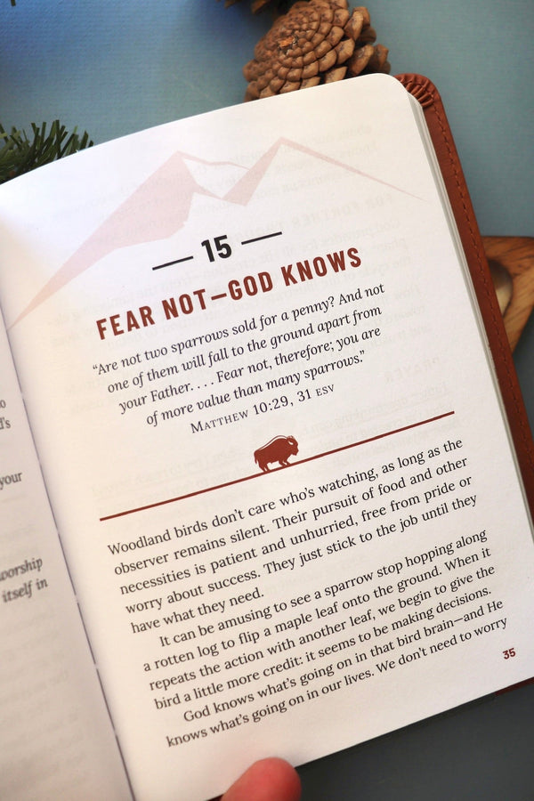 The Great Outdoors : Mens Devotional GIFT Barbour Publishing 