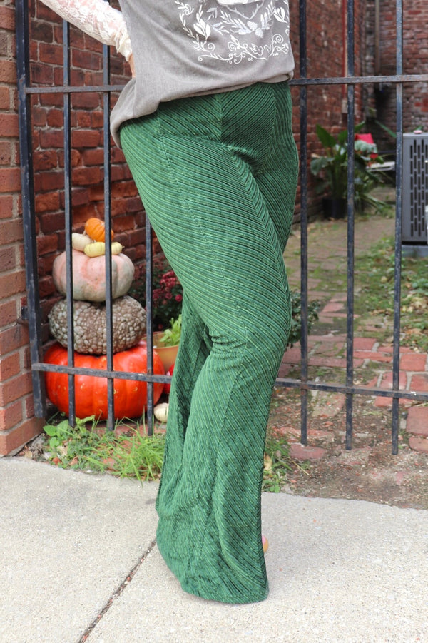 Penny Pull On Velvet Flares - Free People PANTS Free People 